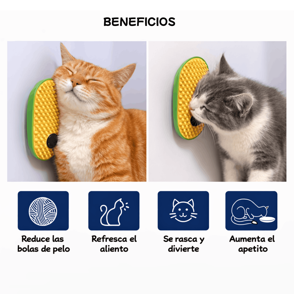 beneficios para tus gatos del uso del aguacate