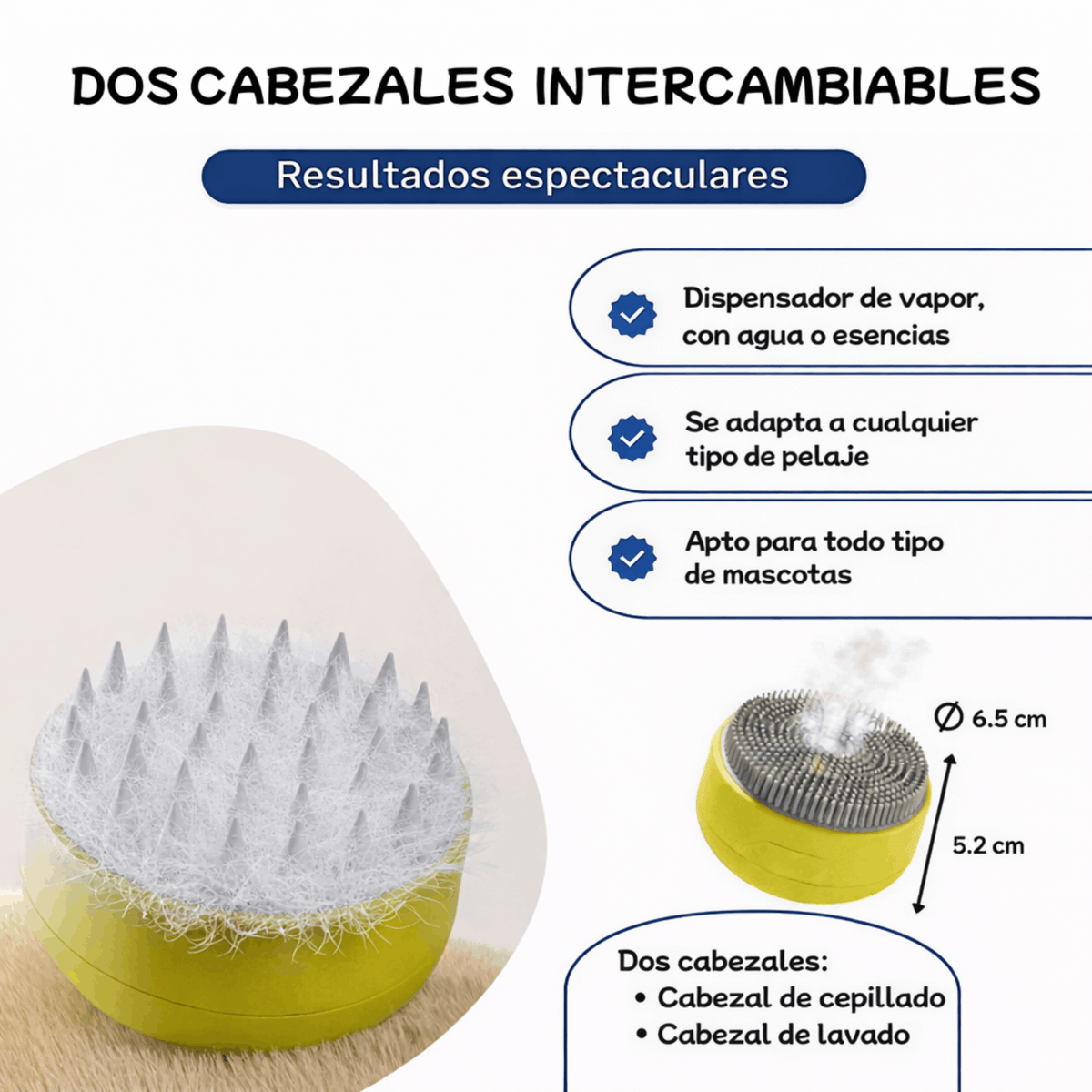 descripcion del cepillo