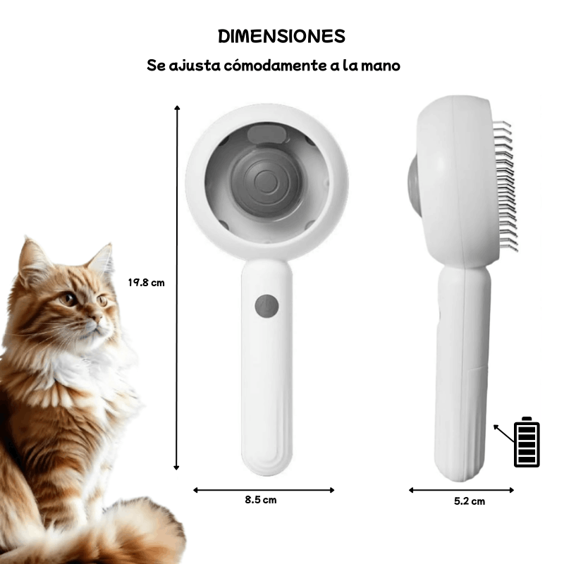 tamaño y caracteristicas del cepillo