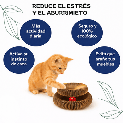 beneficios del rascador en tu gato