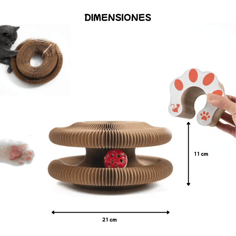 dimensiones del rascador