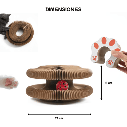 dimensiones del rascador